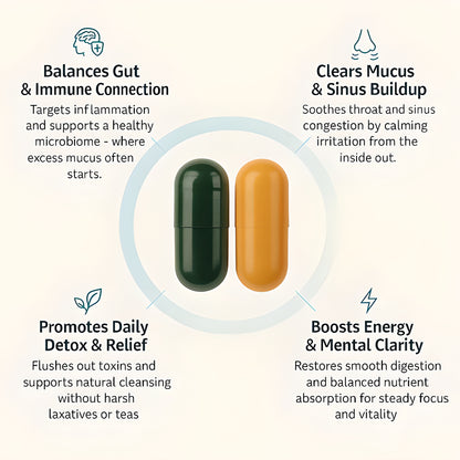 Gut Health + Spirulina & Chlorella Bundle
